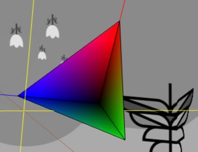 Tetrahedron vertex colors